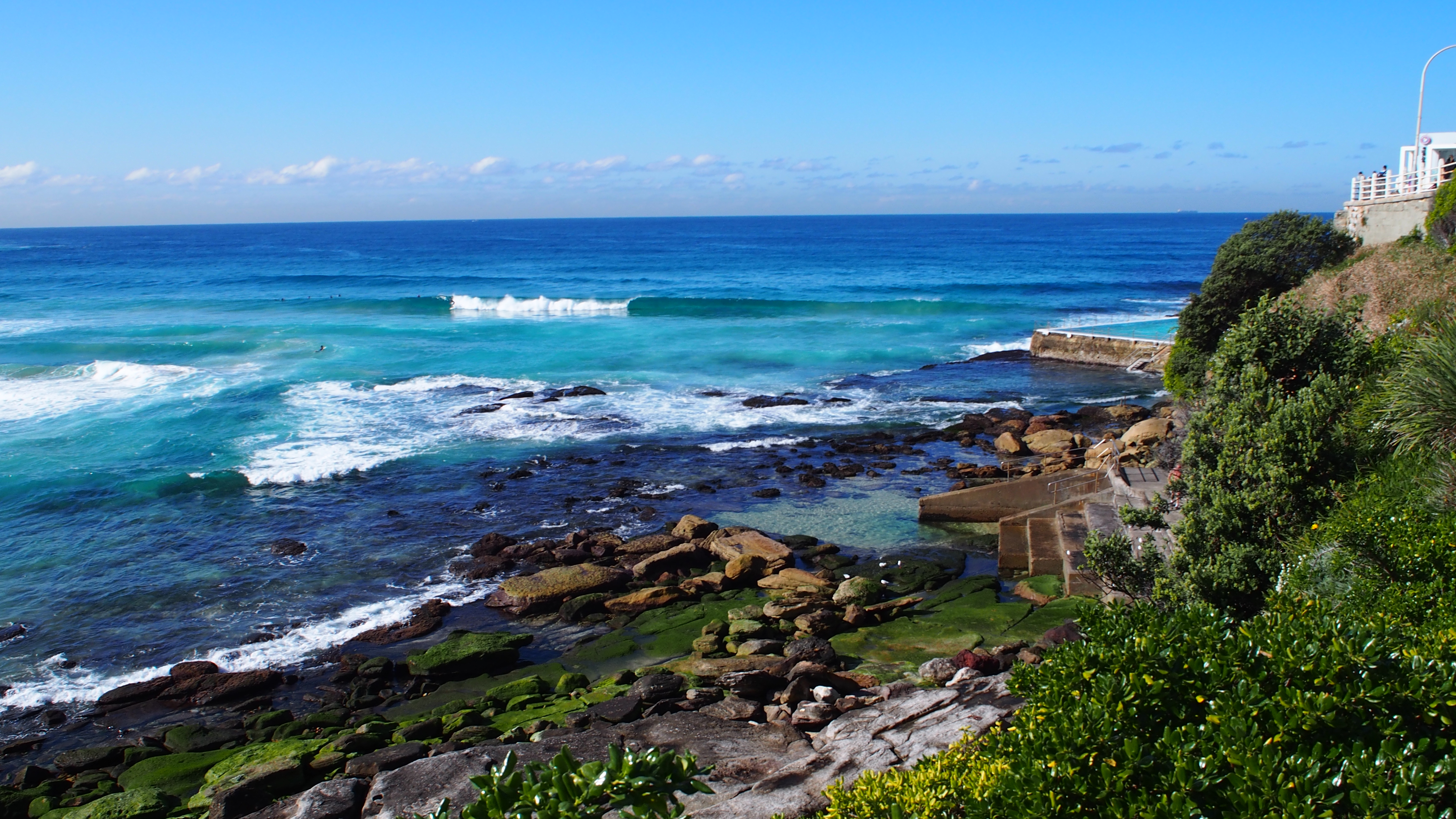 escape-to-nature-in-sydney-eat-the-wind