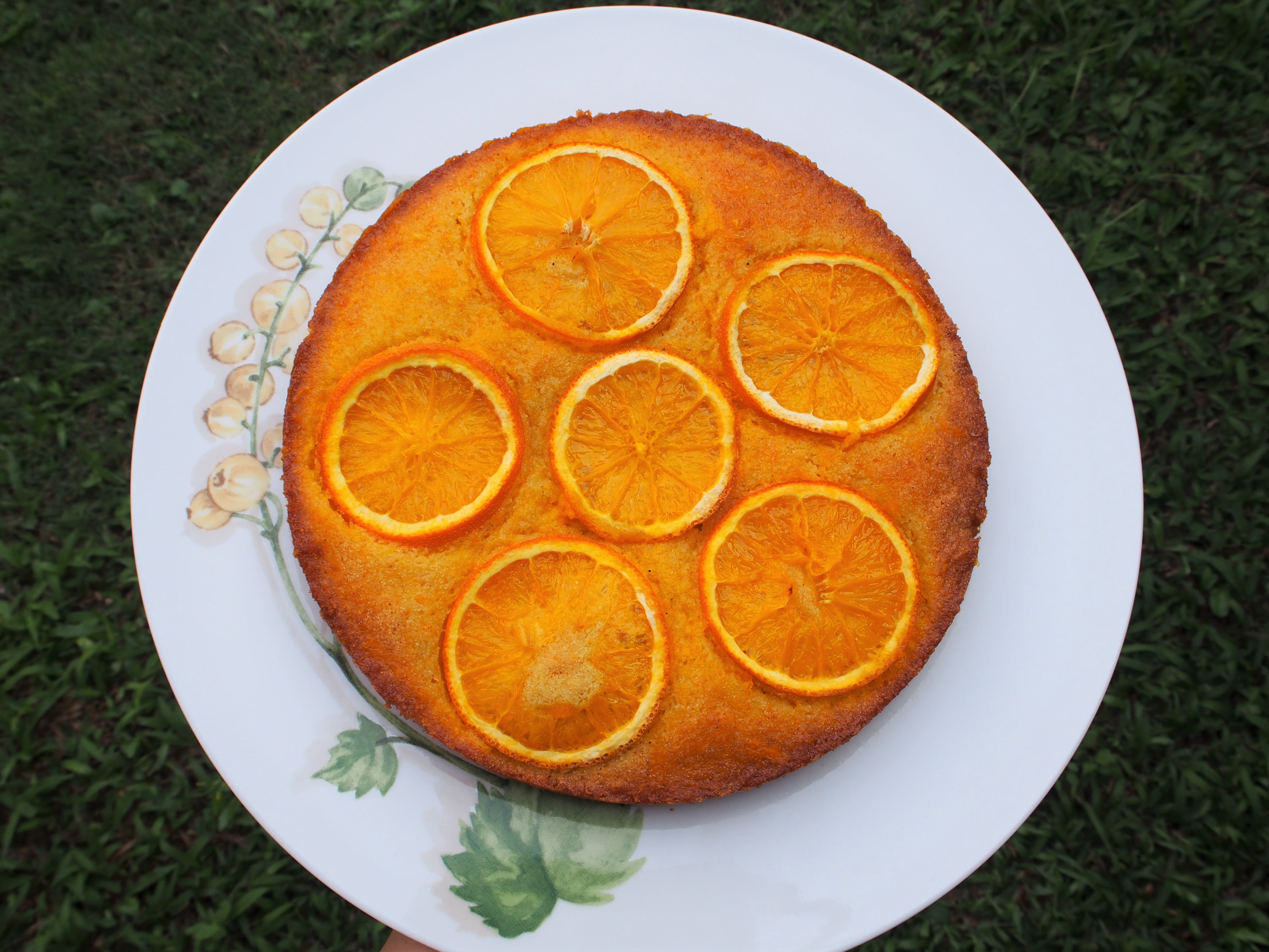 Neapolitan Semolina Cake with Citrus and Cardamom | Recipe | Semolina cake,  Yummy cakes, No bake cake